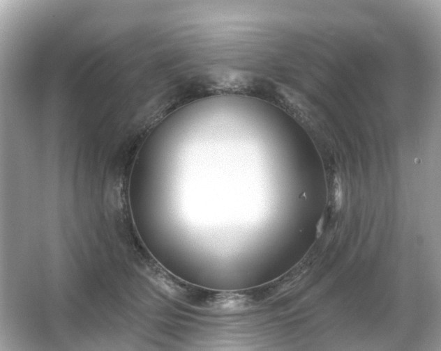 X0000066090514200603131207