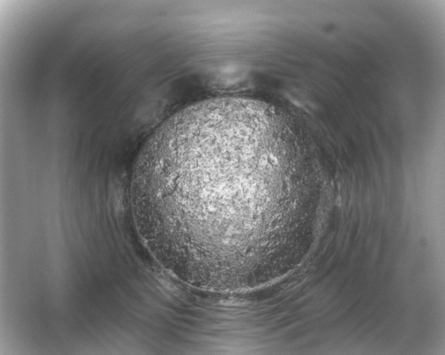 X0000066090515200603131207