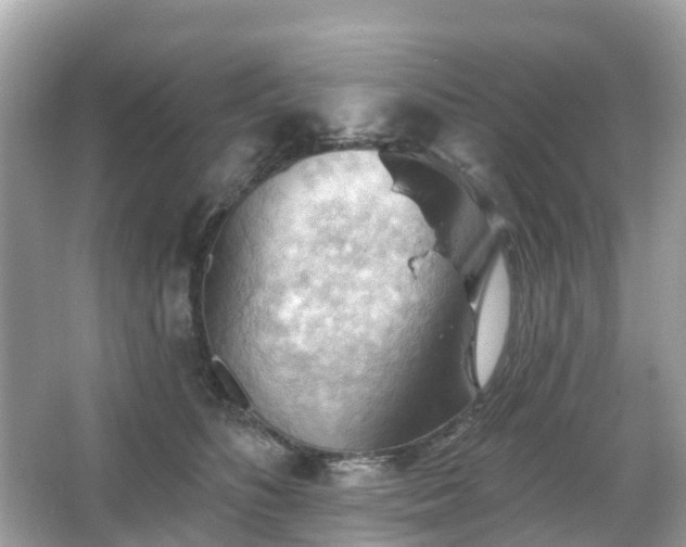 X0000066090516200603131207