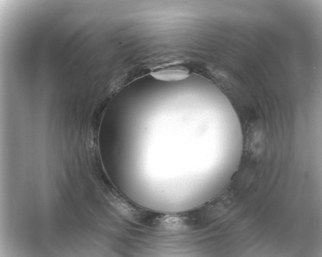 X0000066090518200603131207