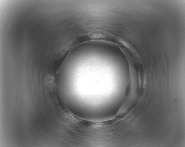 X0000066090521200603131207