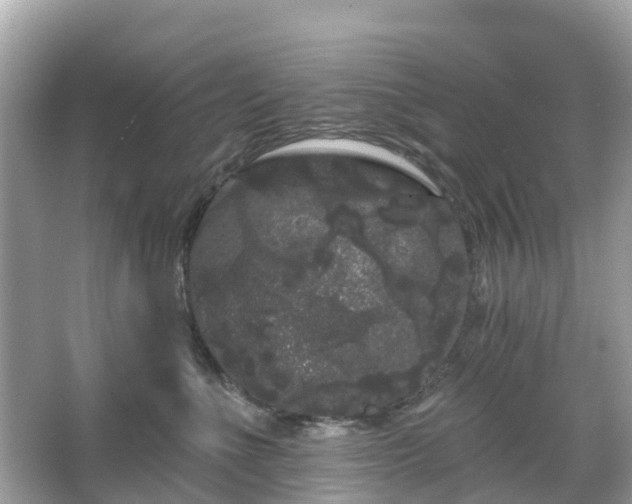 X0000066090523200603131207