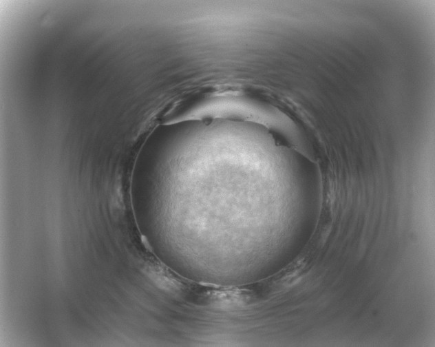 X0000066090524200603131207