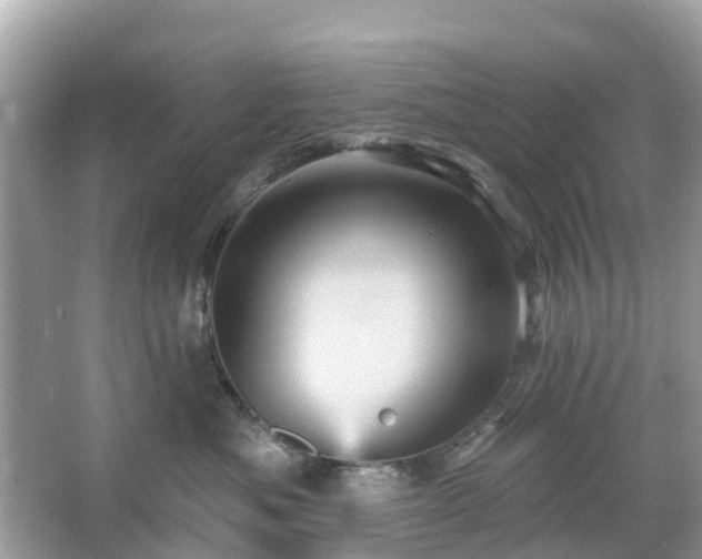 X0000066090525200603131207