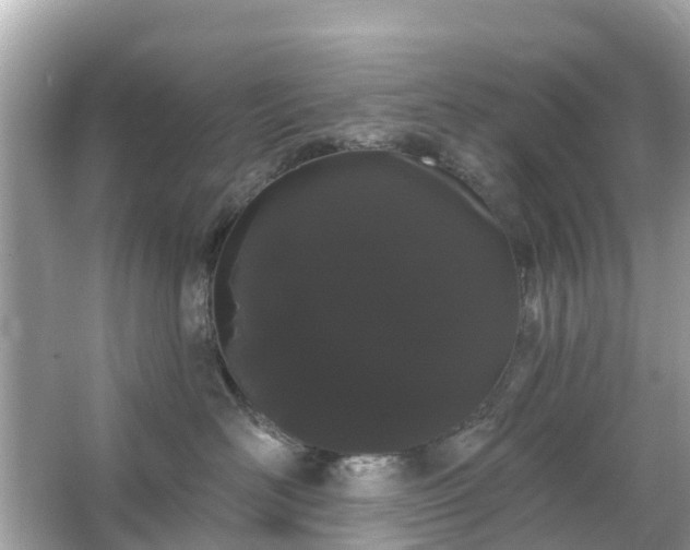 X0000066090526200603131207