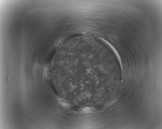 X0000066090527200603131207