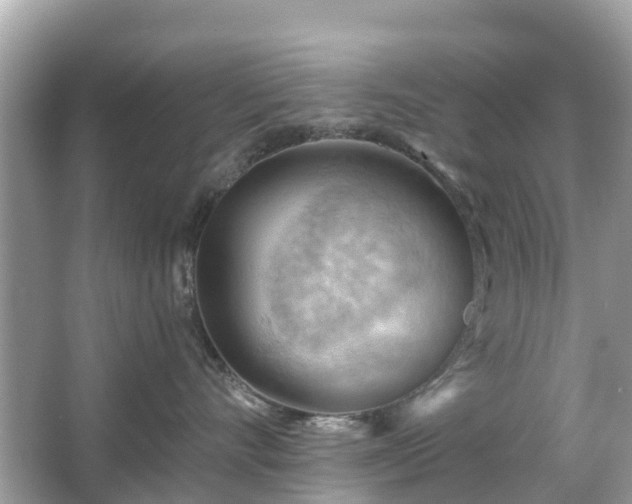 X0000066090528200603131207