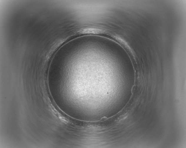 X0000066090529200603131206