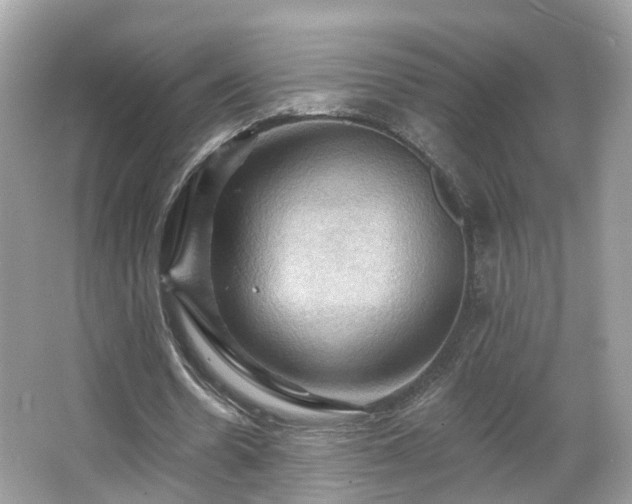 X0000066090530200603131206