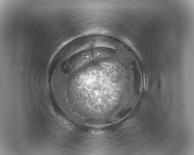 X0000066090531200603131206