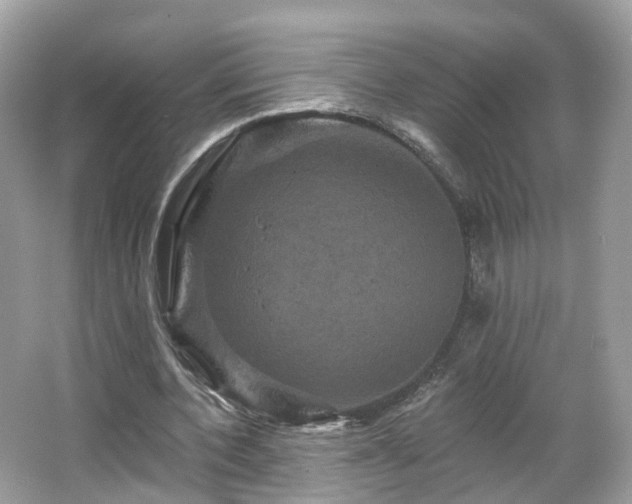 X0000066090532200603131206