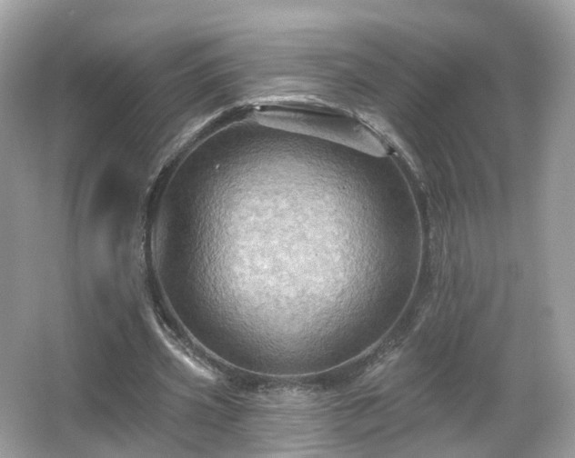 X0000066090533200603131206