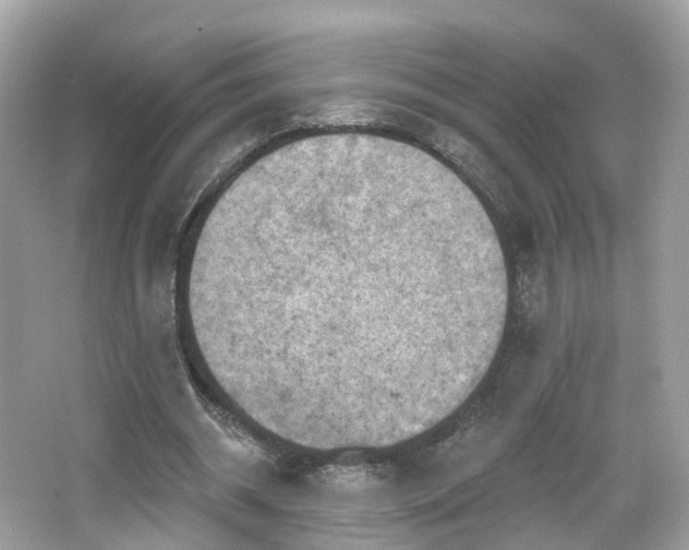 X0000066090534200603131206