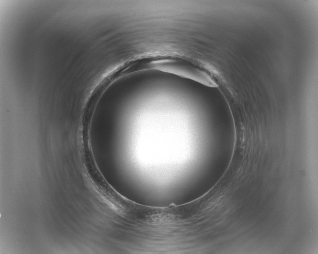 X0000066090535200603131206