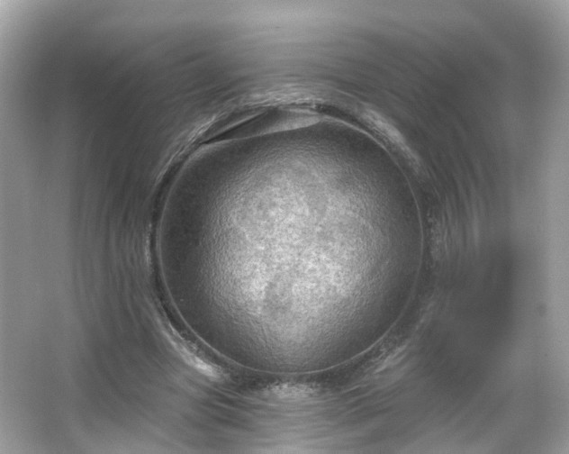 X0000066090537200603131206