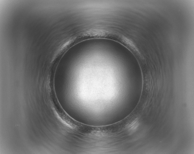 X0000066090538200603131206