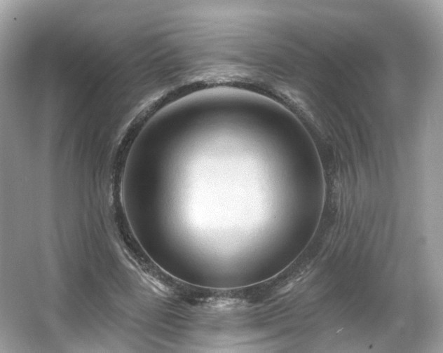 X0000066090539200603131206