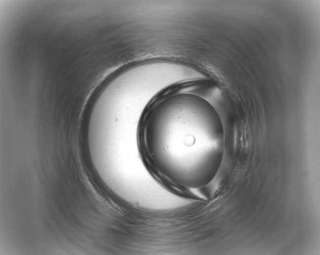 X0000066090540200603131206