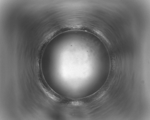 X0000066090541200603131206