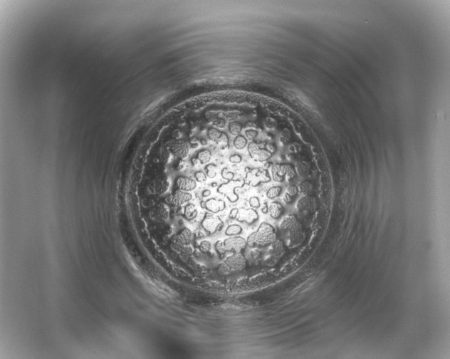 X0000066090542200603131206