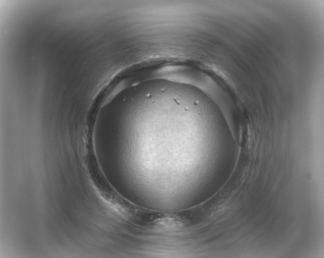 X0000066090544200603131206