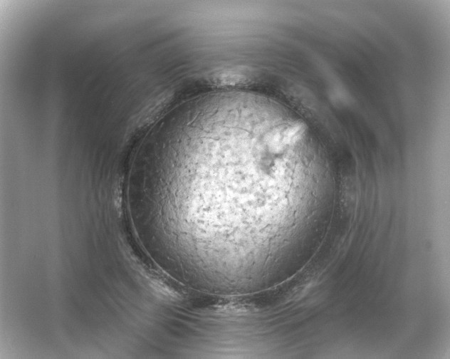 X0000066090545200603131206