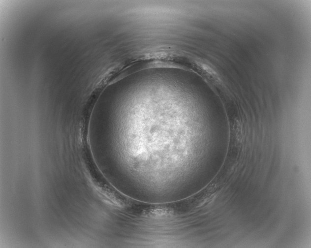 X0000066090546200603131206