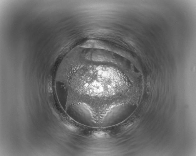 X0000066090547200603131206