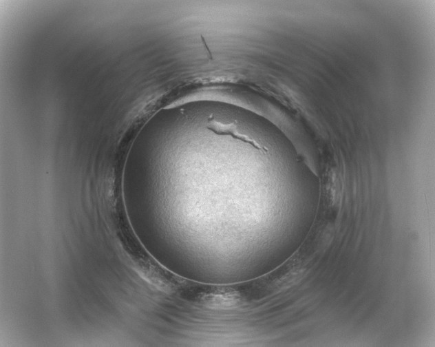 X0000066090548200603131206