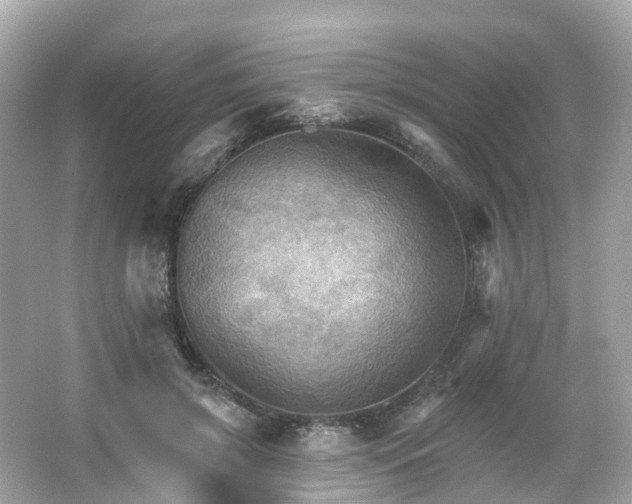 X0000066090549200603131206