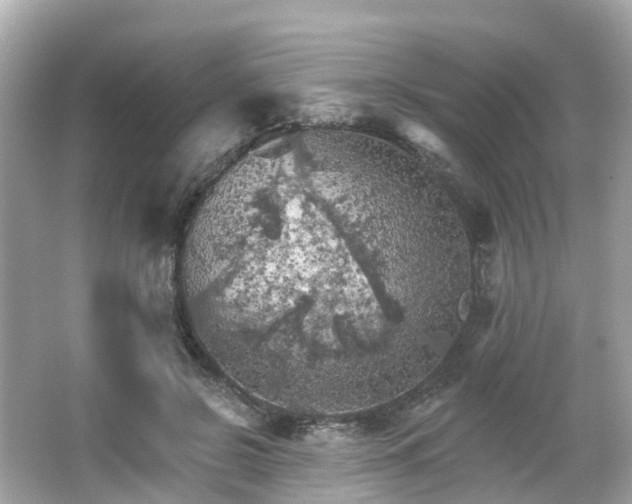 X0000066090550200603131206