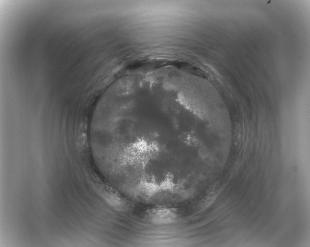 X0000066090553200603131206