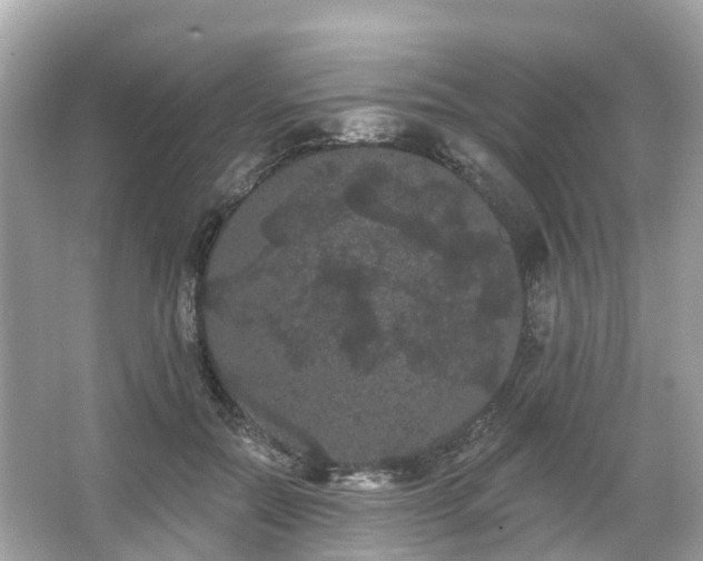 X0000066090554200603131206