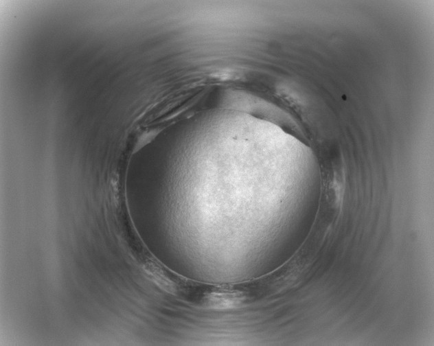 X0000066090556200603131206