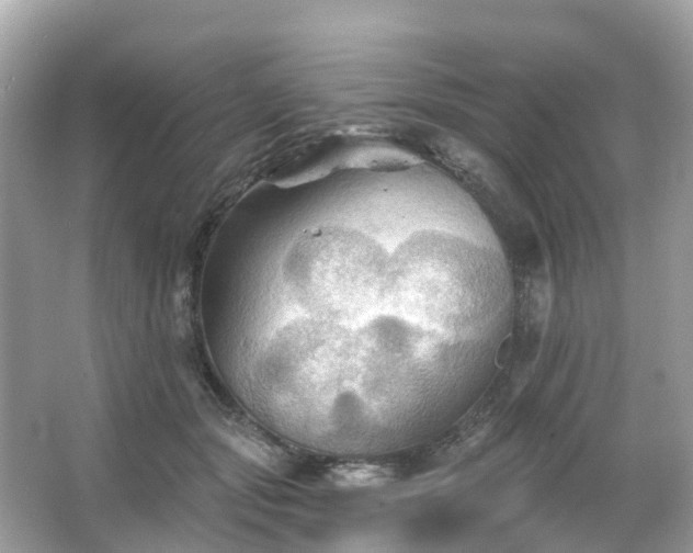 X0000066090557200603131206