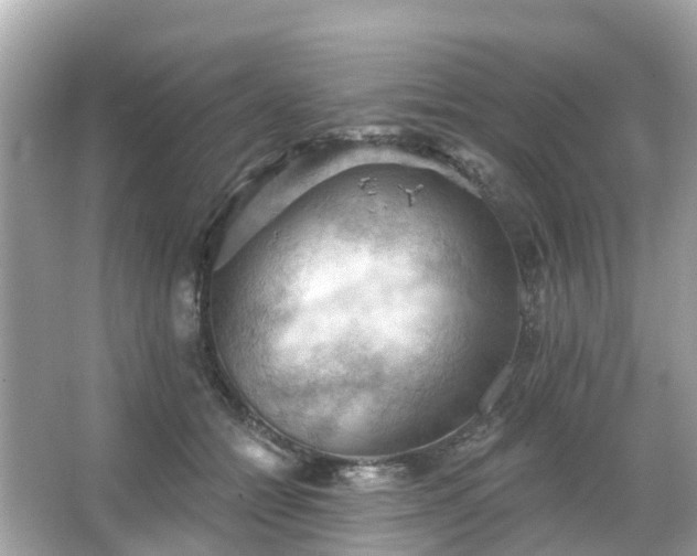 X0000066090558200603131206