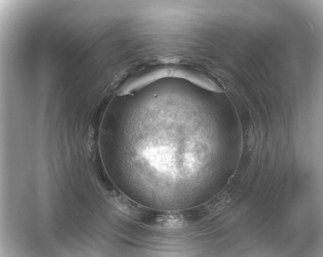 X0000066090559200603131206