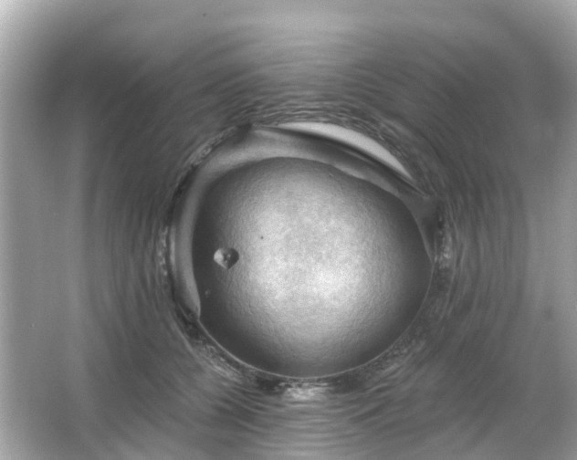 X0000066090560200603131206