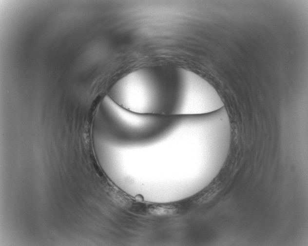 X0000066090561200603131206