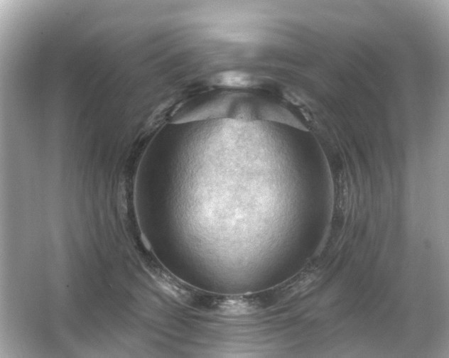 X0000066090562200603131207