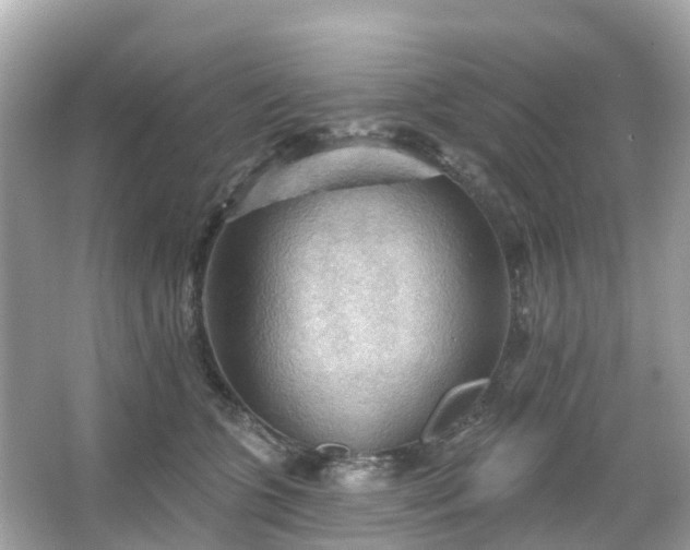 X0000066090563200603131207