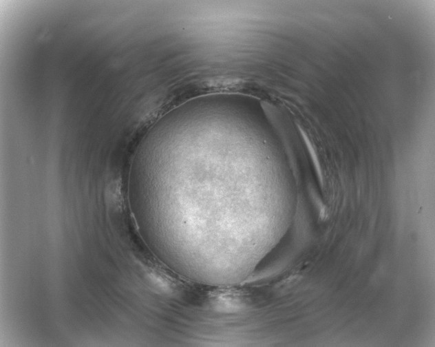 X0000066090564200603131207