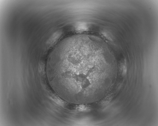 X0000066090565200603131207