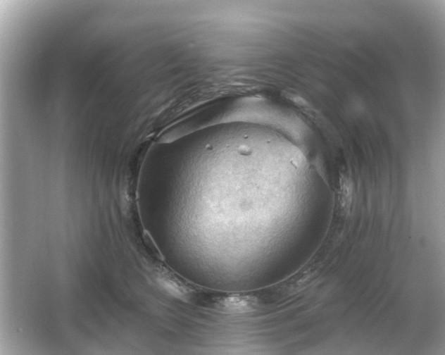 X0000066090566200603131207