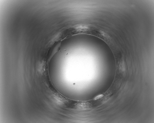 X0000066090567200603131207