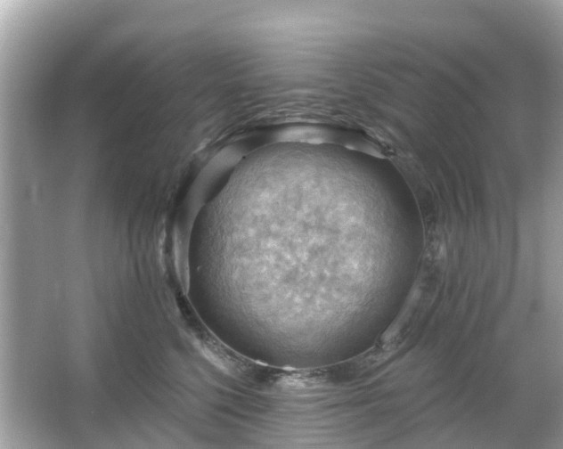 X0000066090568200603131207