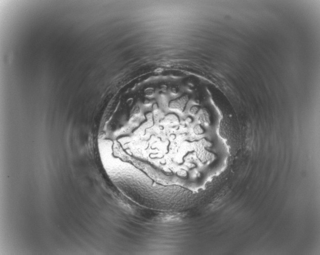 X0000066090569200603131207