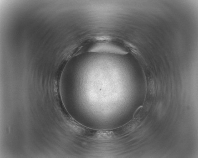 X0000066090571200603131207