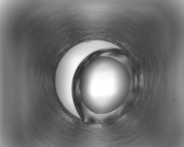 X0000066090572200603131207