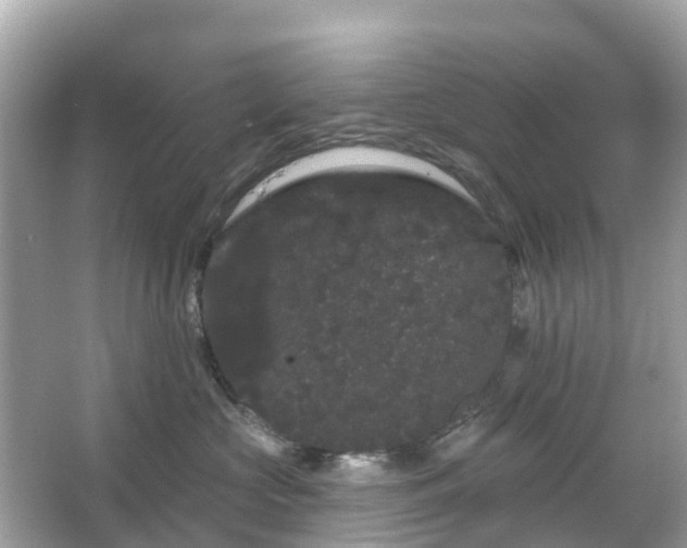 X0000066090573200603131207